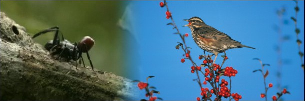 Искусственно созданный мир - биологический аватар как основа жизни