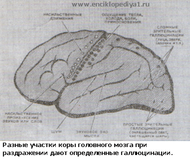 Искусственно созданный мир - биологический аватар как основа жизни