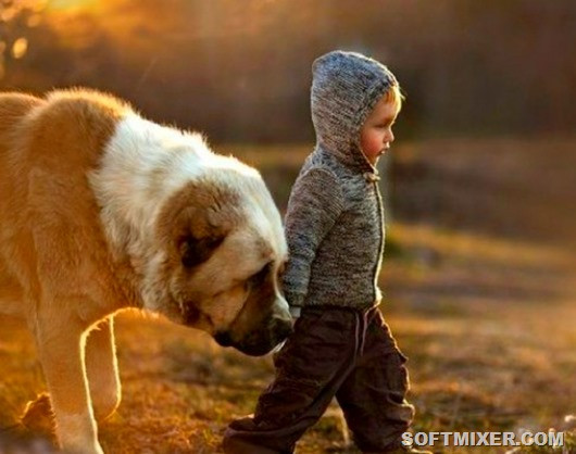 Чужие среди своих: 7 детей-маугли, воспитанных дикой природой