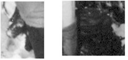 Разбор всех фотографий поисковиков группы Дятлова