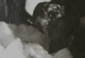 Разбор всех фотографий поисковиков группы Дятлова