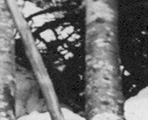 Разбор всех фотографий поисковиков группы Дятлова