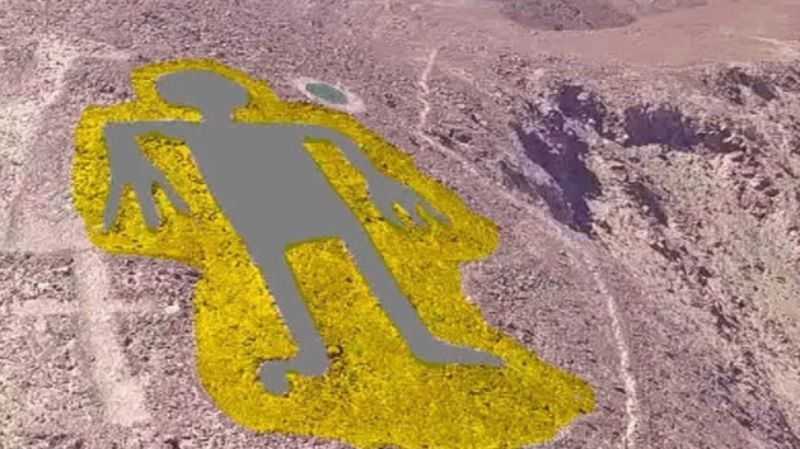 Ученые нашли в Чили рисунок инопланетянина длиной 25 метров