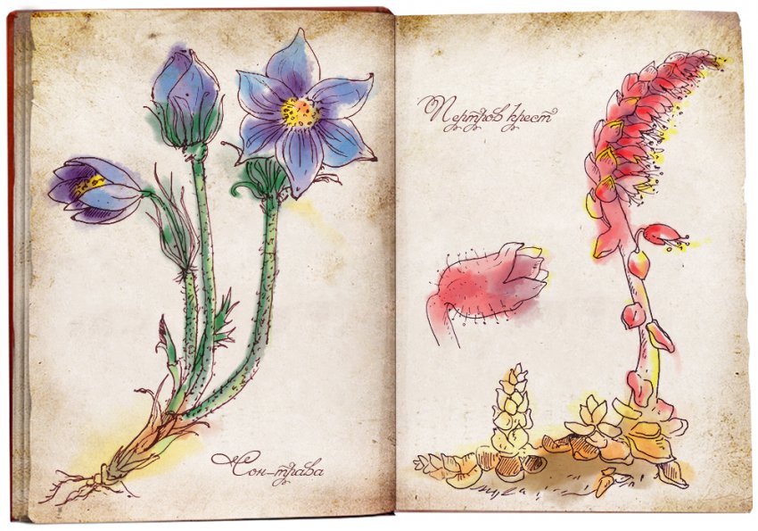 История магических трав славян с древнейших времен