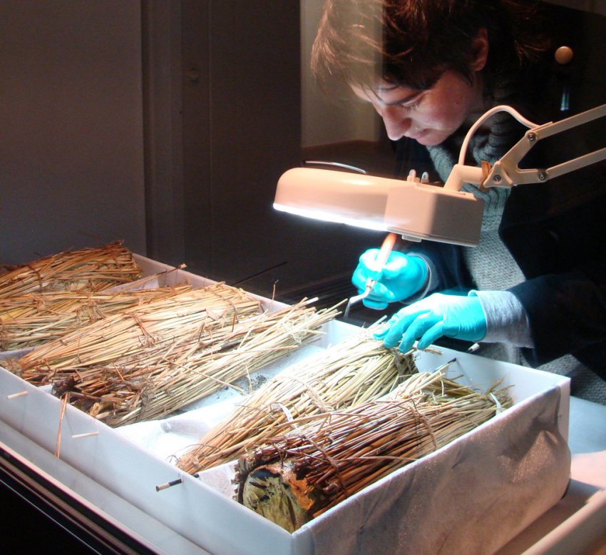 Во льдах Антарктиды обнаружили "саркофаг с сокровищами"