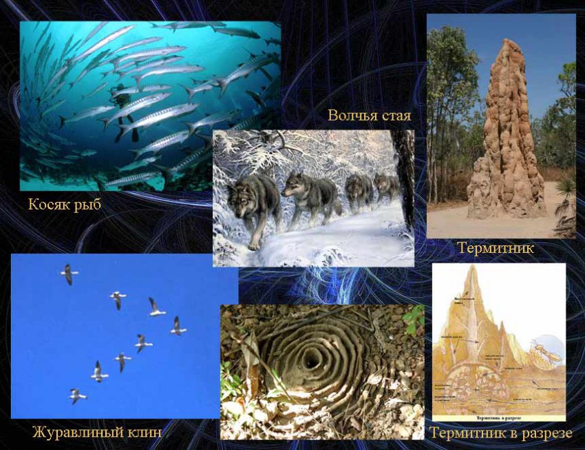 Три научных факта, ломающих представление о нашей реальности
