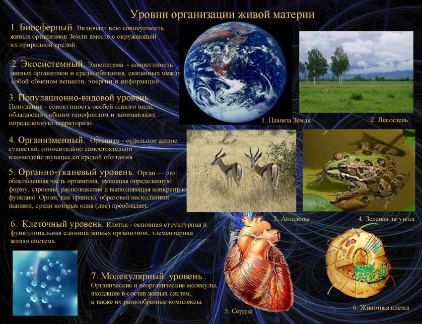 Три научных факта, ломающих представление о нашей реальности