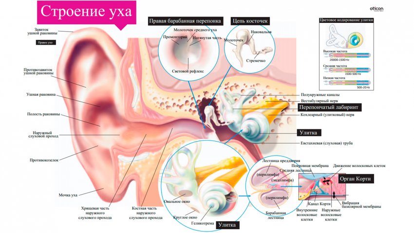 Искусственно созданный мир - биологический аватар как основа жизни