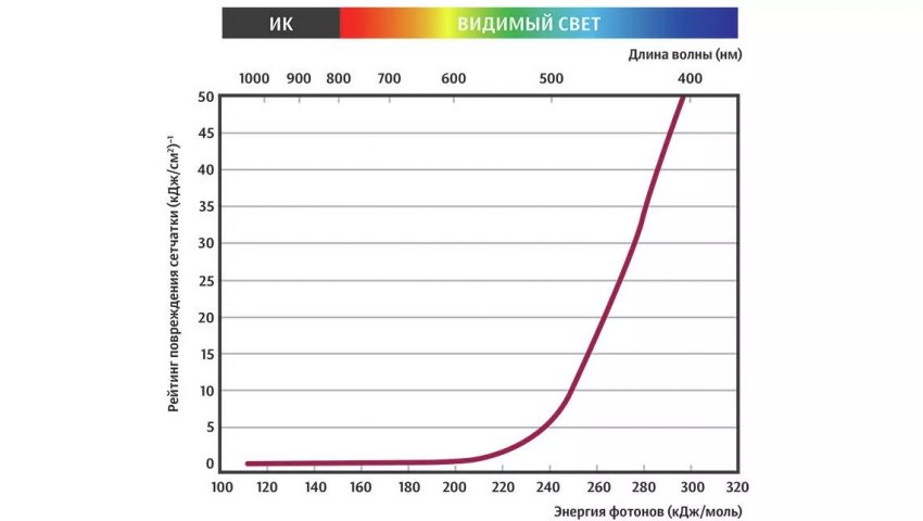 Уставший мозг, слепота и рога на голове - Побочные эффекты смартфонов