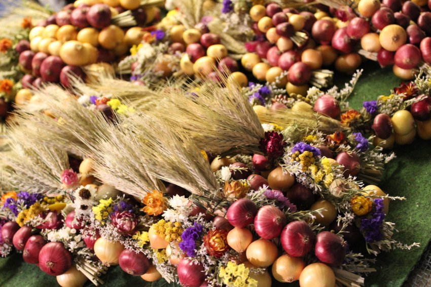 Луков день отмечают 31 октября 2019 года: история, традиции и приметы праздника