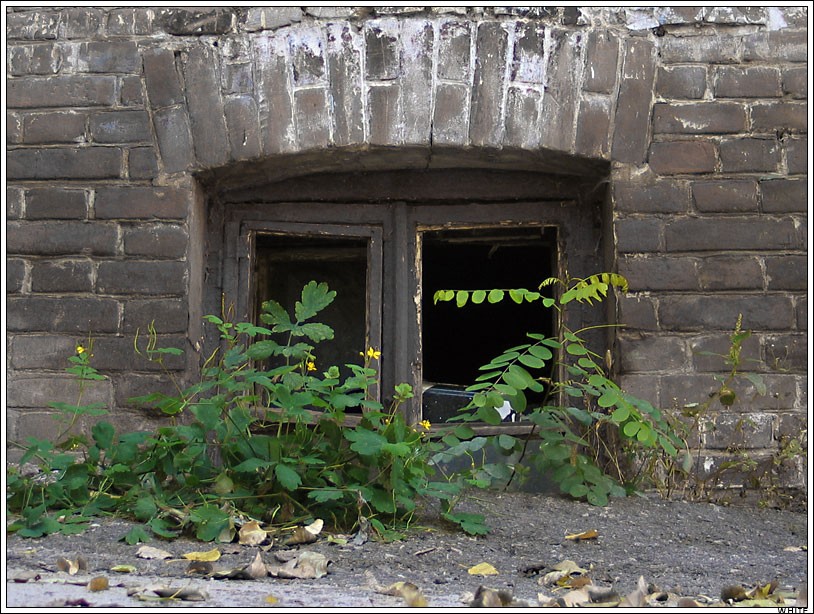 Засыпанные дома, как доказательства всемирного потопа в 19 веке