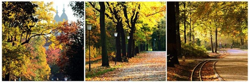 Бесплатные удовольствия от жизни, которые многие не замечают