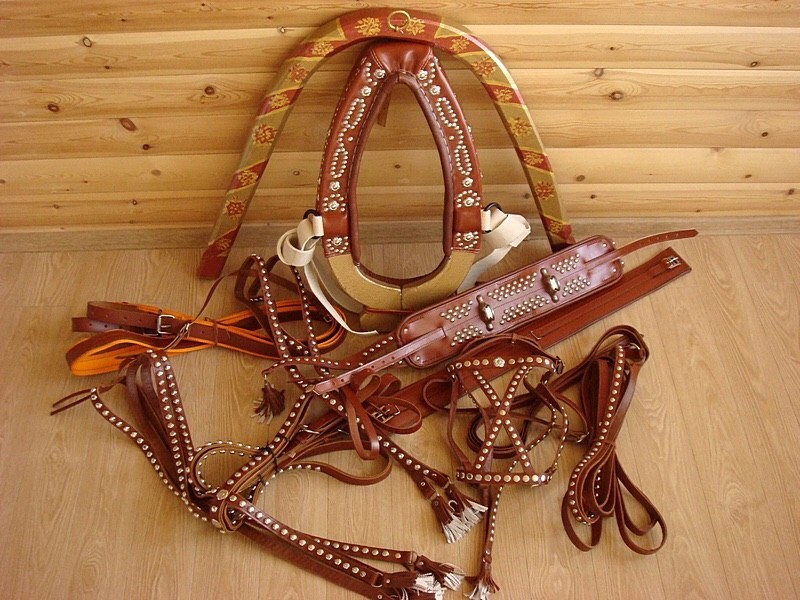 День Якова 5 ноября 2019 года посвящён покровителю мужской работы апостолу Иакову