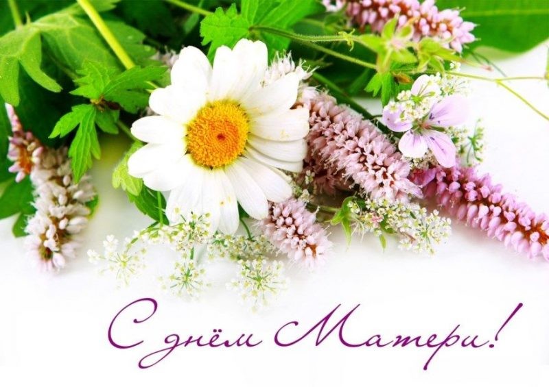 Когда в России отметят День матери в 2019 году?