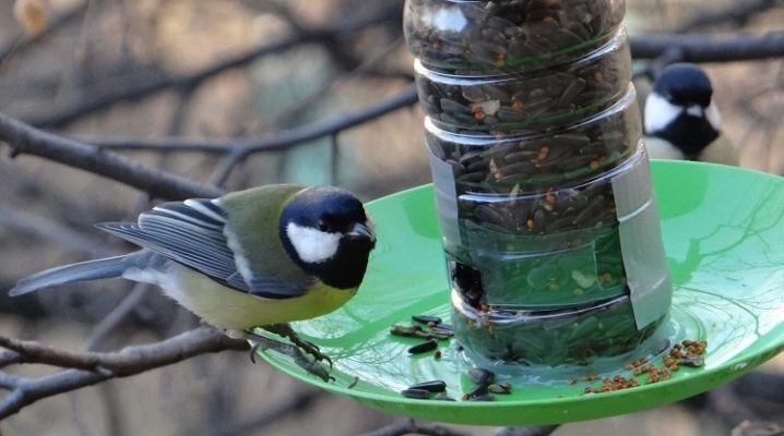 Кормушки для птиц своими руками: оригинальные идеи и инструкции по применению