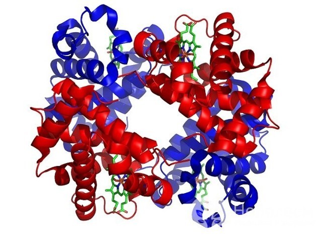 Синяки под глазами у ребенка: 12 возможных причин, методы лечения и профилактики