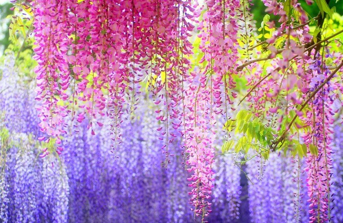 Увидеть и не повторить никогда: top of english mistakes in writing