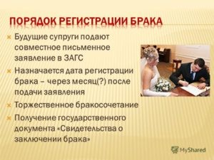 За сколько месяцев подают заявление в загс — свадебные советы