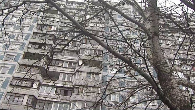 Ужасная трагедия в семье москвичей: женщина с детьми выбросились из окна 9-этажного дома Ужасная трагедия в семье москвичей: женщина с детьми выбросились из окна 9-этажного дома