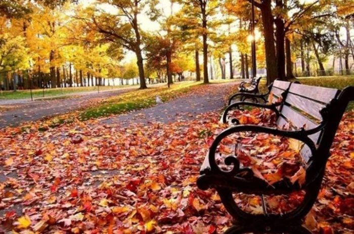 В России отмечают церковный праздник Кузьмы и Демьяна 14 ноября