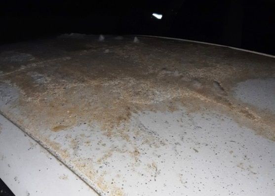 В Карелии после выброса с комбината пожелтел снег и гибнут птицы