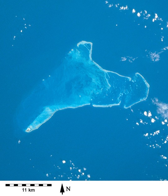 ТОП-7 жестоких историй выживания в дикой природе