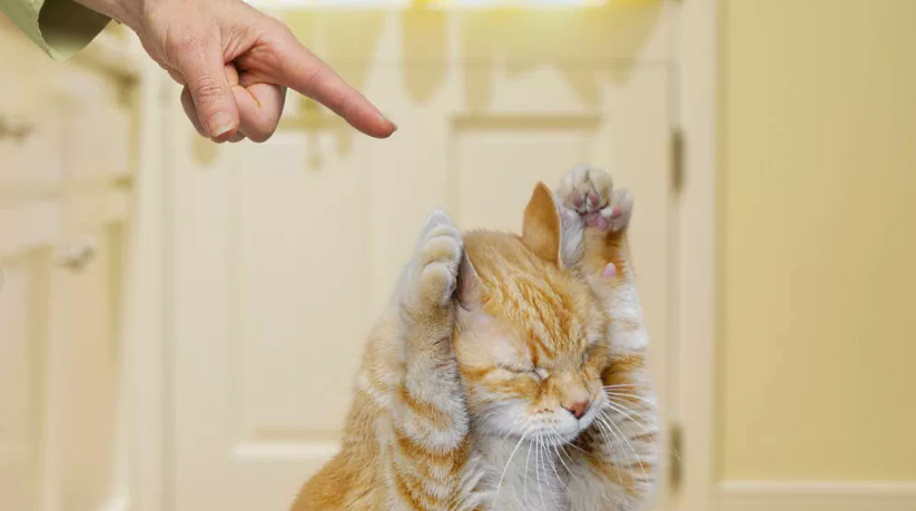 Как сэкономить на ремонте, не снижая его качество