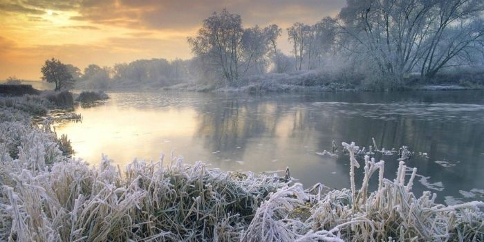 Родион Ледолом, это праздник, который отмечали 23 ноября, часто удивлял непредсказуемостью погоды