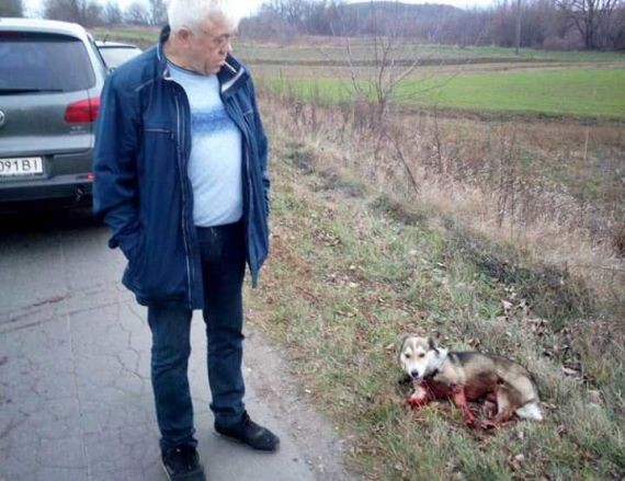 Украинский чиновник решил разделаться со своей собакой, привязав ее к машине