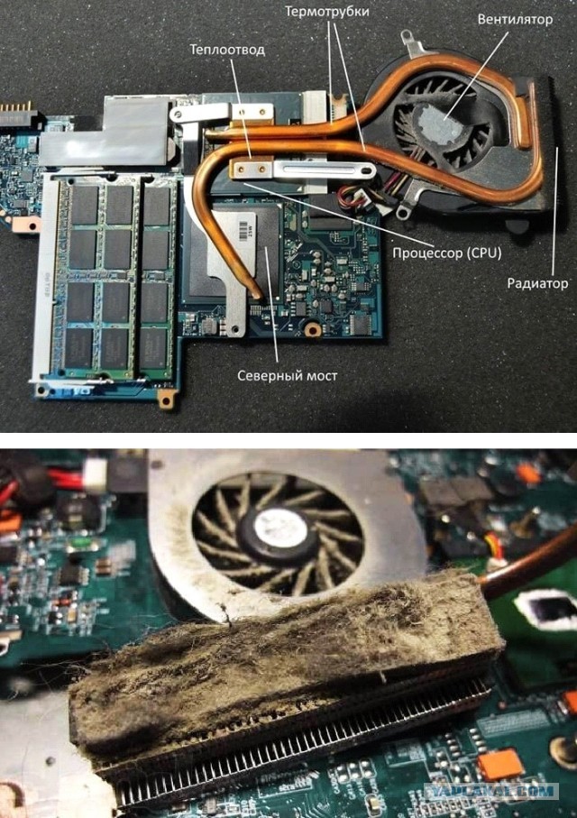 Купил - выбросил или одноразовая жизнь покупных вещей