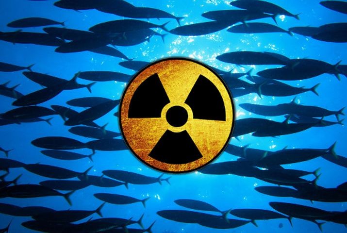 Атомный взрыв в Южно-Китайском море 21 ноября 2019 года не имеет официальных подтверждений