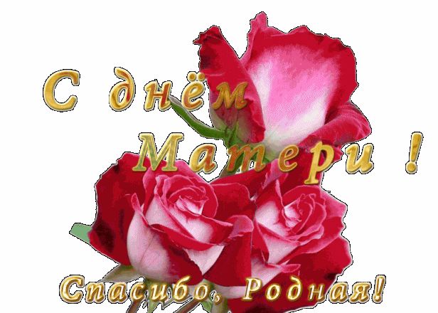 Картинки и поздравления ко Дню матери в 2019 году для самого близкого человека