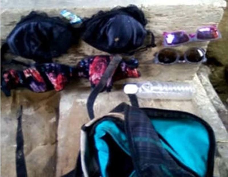 Расследование гибели Крис Кремерс и Лисанн Фрон в панамских джунглях