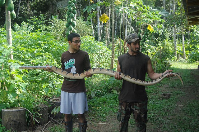 Расследование гибели Крис Кремерс и Лисанн Фрон в панамских джунглях