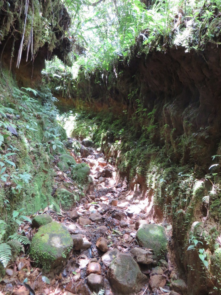 Расследование гибели Крис Кремерс и Лисанн Фрон в панамских джунглях