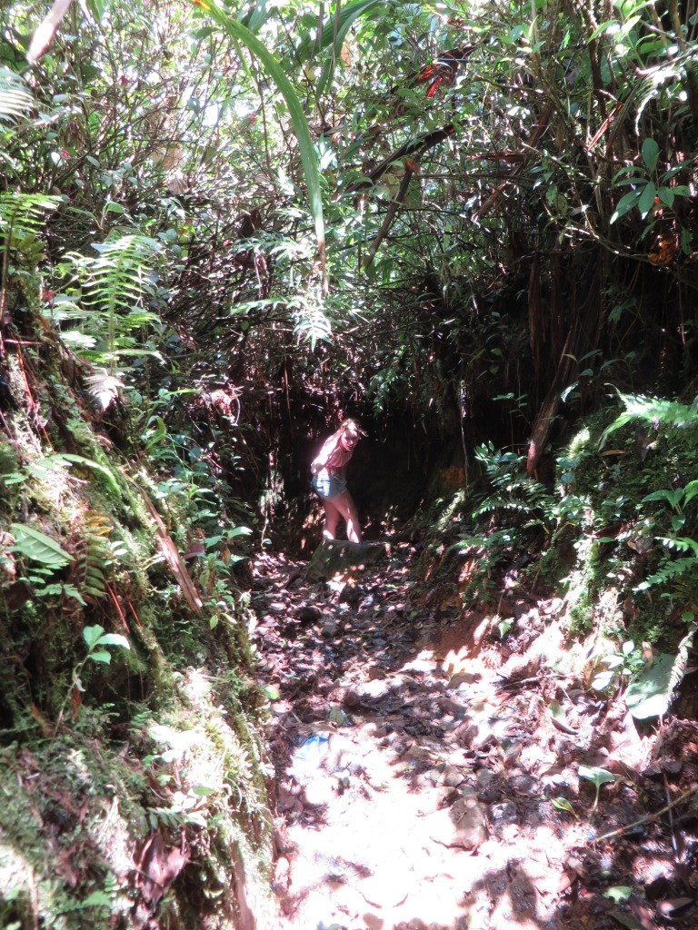 Расследование гибели Крис Кремерс и Лисанн Фрон в панамских джунглях