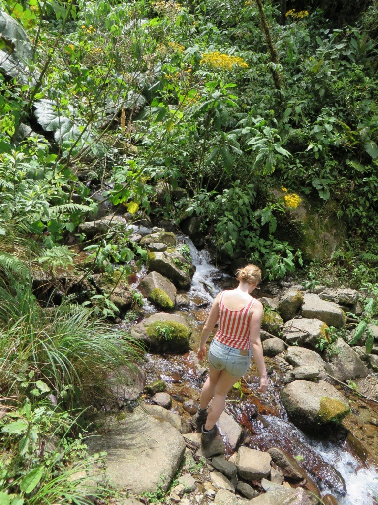 Расследование гибели Крис Кремерс и Лисанн Фрон в панамских джунглях