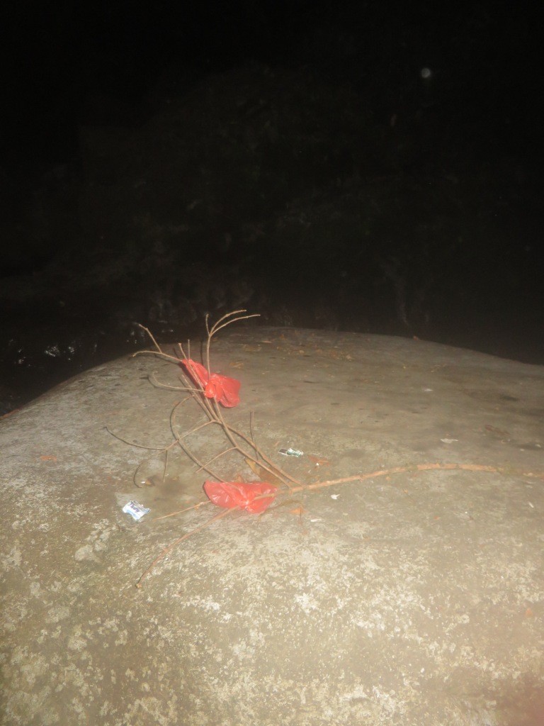 Расследование гибели Крис Кремерс и Лисанн Фрон в панамских джунглях