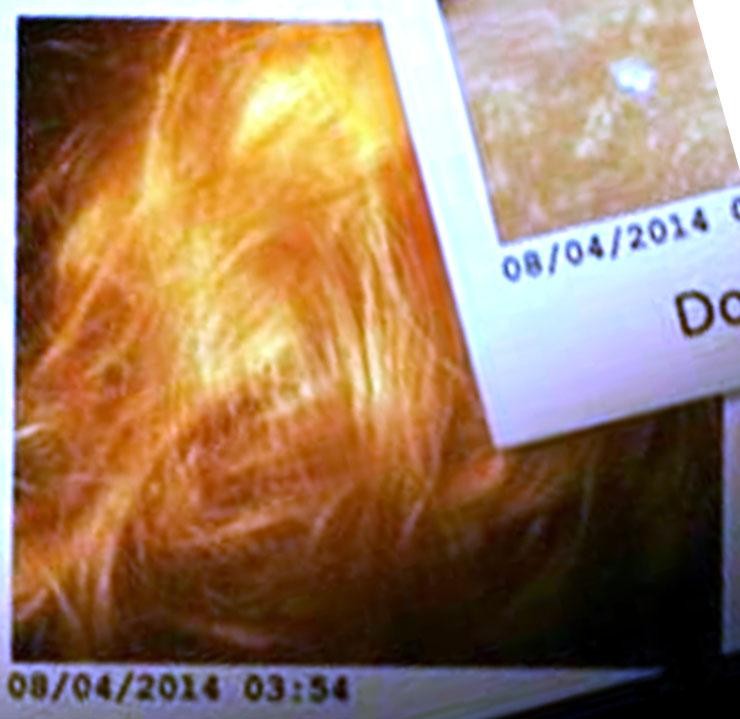 Расследование гибели Крис Кремерс и Лисанн Фрон в панамских джунглях