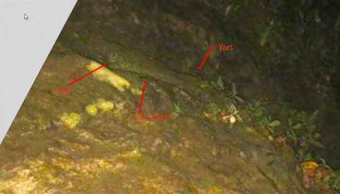 Расследование гибели Крис Кремерс и Лисанн Фрон в панамских джунглях