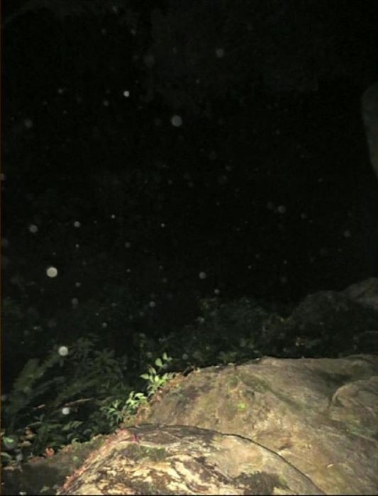 Расследование гибели Крис Кремерс и Лисанн Фрон в панамских джунглях