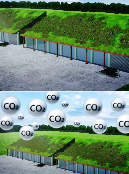Самодостаточный эко-город будущего в окружении деревьев и растений