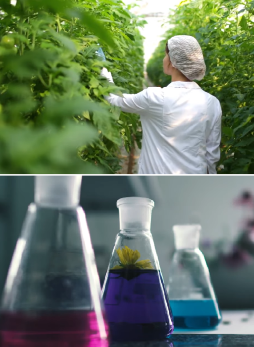 Самодостаточный эко-город будущего в окружении деревьев и растений