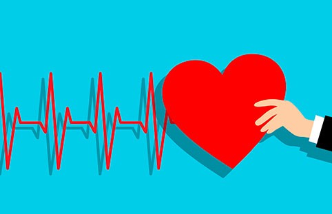 Почетный донор России: льготы и выплаты в 2020 году