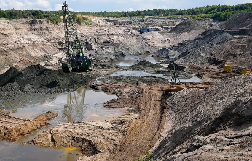 Загадки образования янтаря с насекомыми