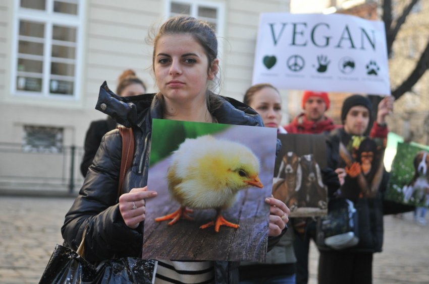 В Международный день вегана 1 ноября 2019 года пригодятся прикольные поздравления