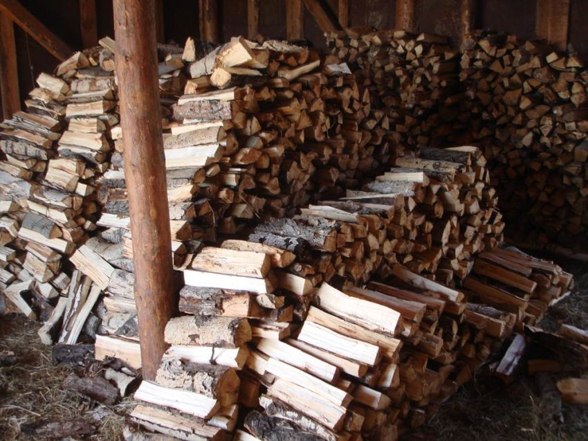 День Якова 5 ноября 2019 года посвящён покровителю мужской работы апостолу Иакову