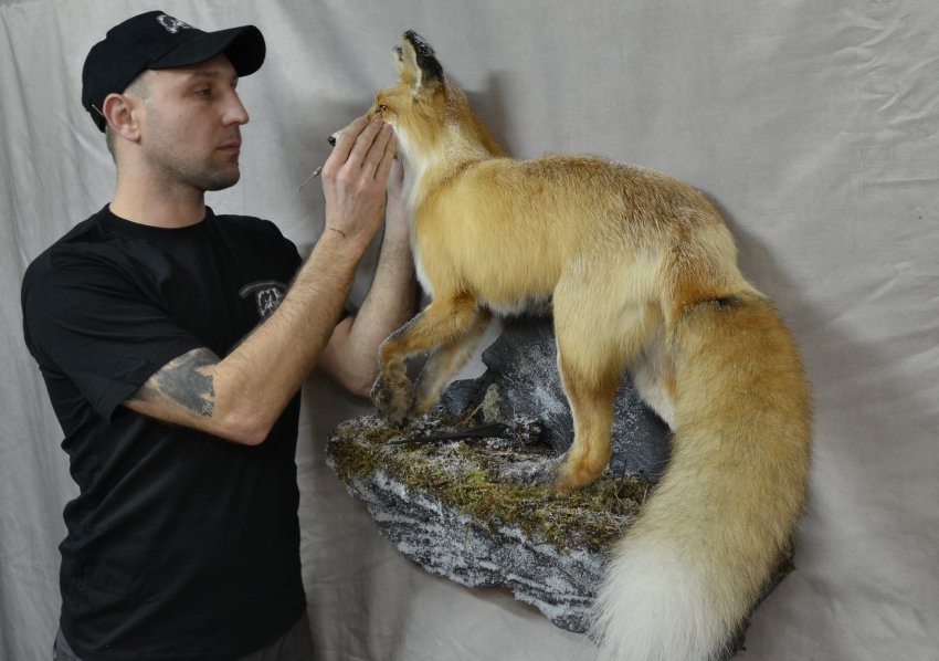 Журнал Forbes обнародовал перечень самых жутких профессий