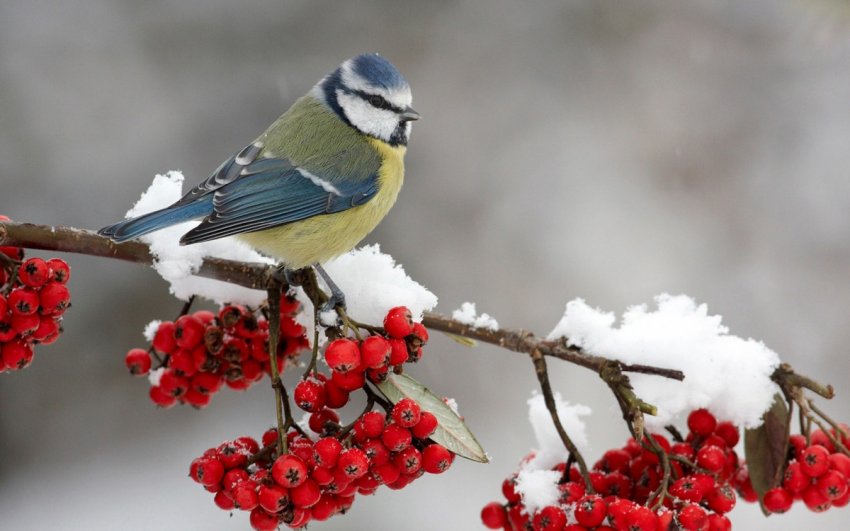 День памяти великомученика Димитрия Солунского 8 ноября: история празднования и важные традиции, которым стоит следовать