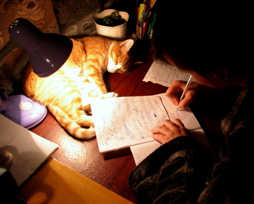 Постоянное недосыпание и усталость чреваты катастрофическими последствиями для физического и психологического здоровья человека